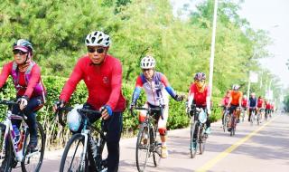 北京马拉松2023年比赛时间