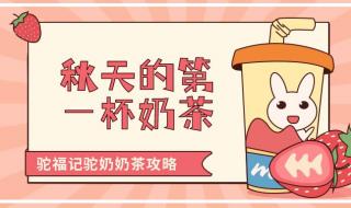 秋天的第一杯奶茶图片真实