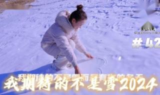 一笑江湖跳科目三