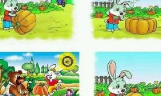 小兔运南瓜看图写话一年级