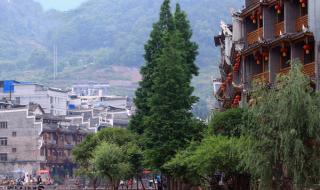 张家界旅游攻略网